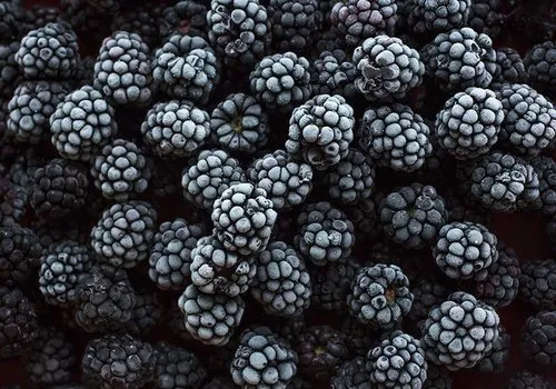 Frozen Imported IQF Blackberry