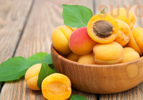 Frozen Apricot Half
