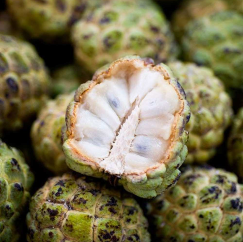 Frozen Custard Apple Pulp (60%Petals)