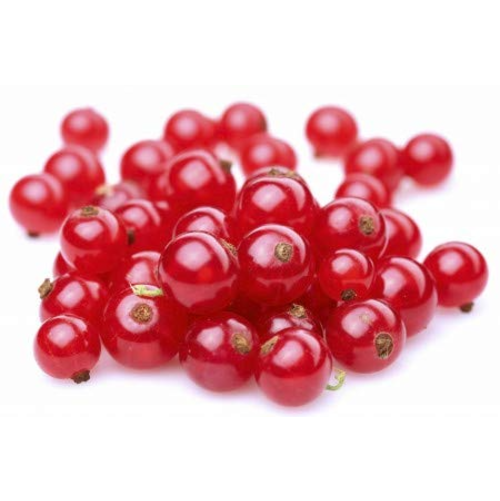 Frozen Red Currant