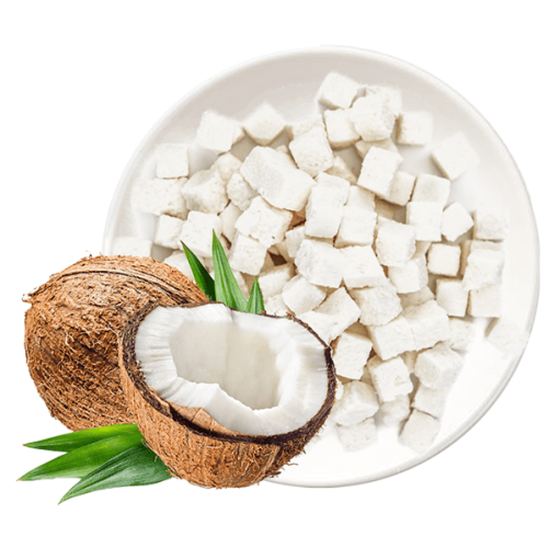 Frozen Tender Coconut Titbits