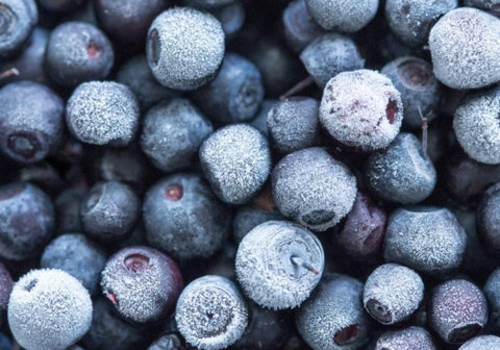 Frozen Wild Blueberry
