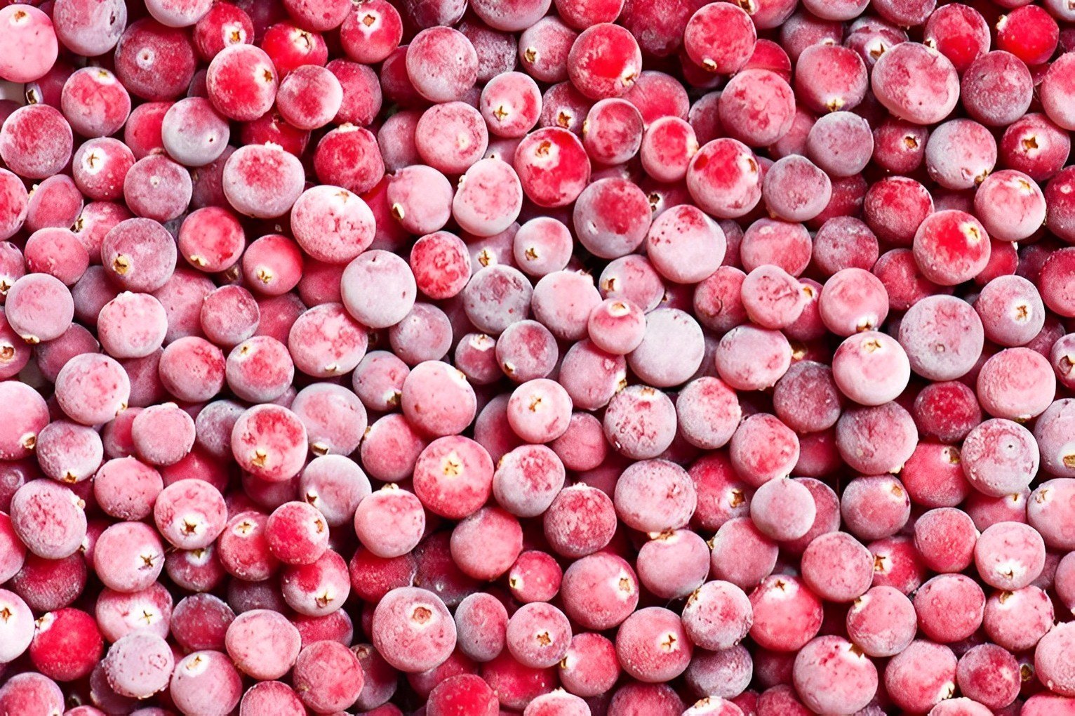 Frozen Imported IQF Cranberry