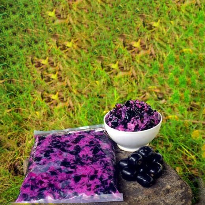 Blending Jamun Pulp