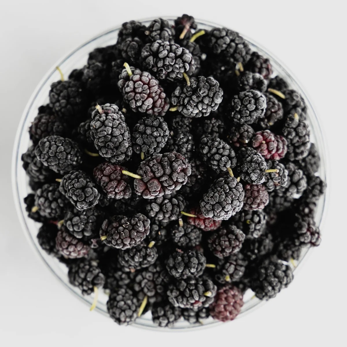 Mulberry